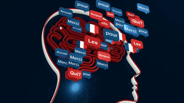 French Language Education and Human Brain stock photo
