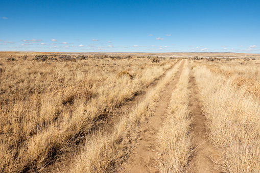 Trail in New Mexico, USA