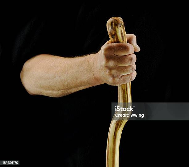 Hand And Walking Stick Stock Photo - Download Image Now - Hiking Pole, Walking Cane, Human Hand