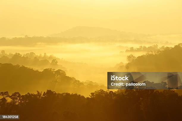 Photo libre de droit de Lever Du Soleil Dans Les Montagnes Brumeuses banque d'images et plus d'images libres de droit de Arbre - Arbre, Aube, Beauté de la nature