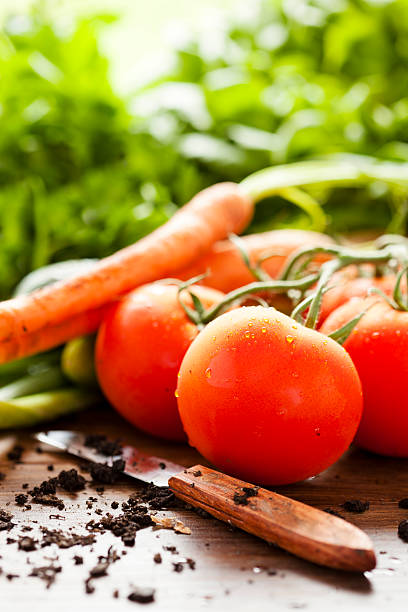 istock Organic Vegetables Fresh From Market 184301274