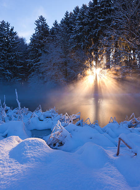 istock winter sunbeam on a small lake in bavaria, germany 184301681