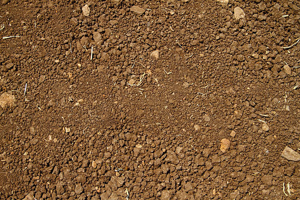 planta baja - mud dirt road road dirt fotografías e imágenes de stock