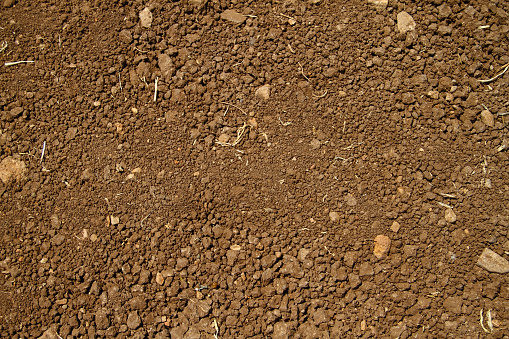 Sand ground