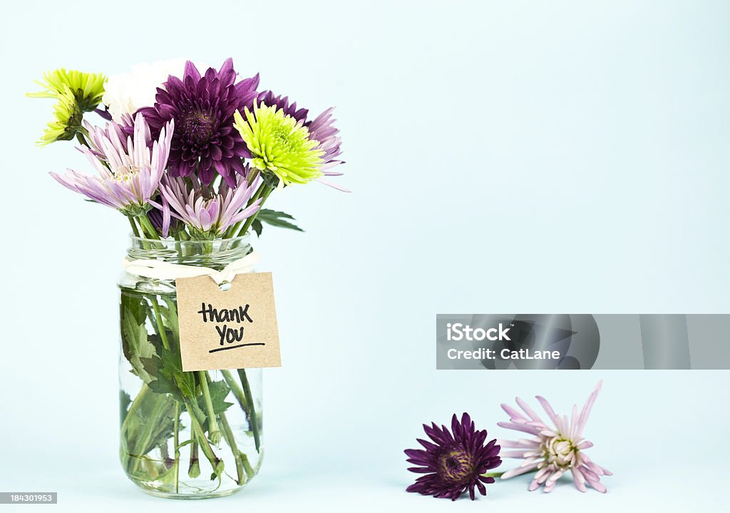 Rustic Thank You Flowers in a jar with thank you tag. Rustic style thank you. Gift Tag - Note Stock Photo