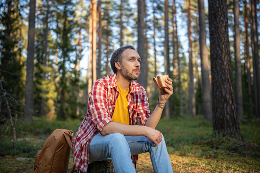 Tired hungry camper man eating sandwich on halt in forest enjoying nature sitting on stump. Guy hiker having break resting in woodland, mountains. Outdoors activity, camping, hiking, trekking concept.