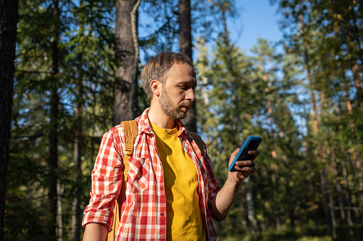 Man uses smartphone in woods. Middle aged guy using phone, looking for route through forest with help of map app, trying to catch connection wifi. Hiker, traveler, camper walking in nature.