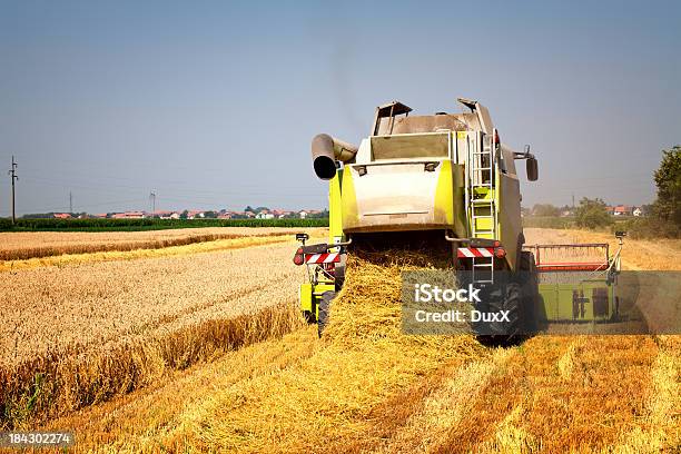 Wheat Harvest Stock Photo - Download Image Now - Agricultural Field, Agricultural Machinery, Agriculture