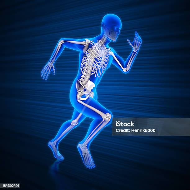 러닝 남자 X레이 클리핑 경로를 인간의 골격에 대한 스톡 사진 및 기타 이미지 - 인간의 골격, 사람 뼈, 3차원 형태