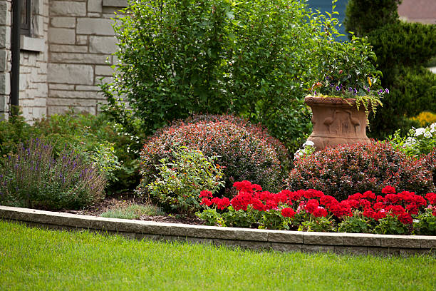 아이리스입니다 정원 - landscaped retaining wall stone flower bed 뉴스 사진 이미지