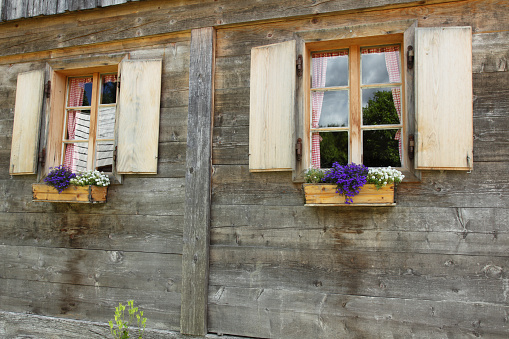 Windows with flowers on the wooden house