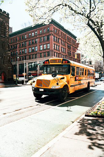 Bright yellow school bus on crossroad on busy street of Manhattan in downtown of New York city near moving car