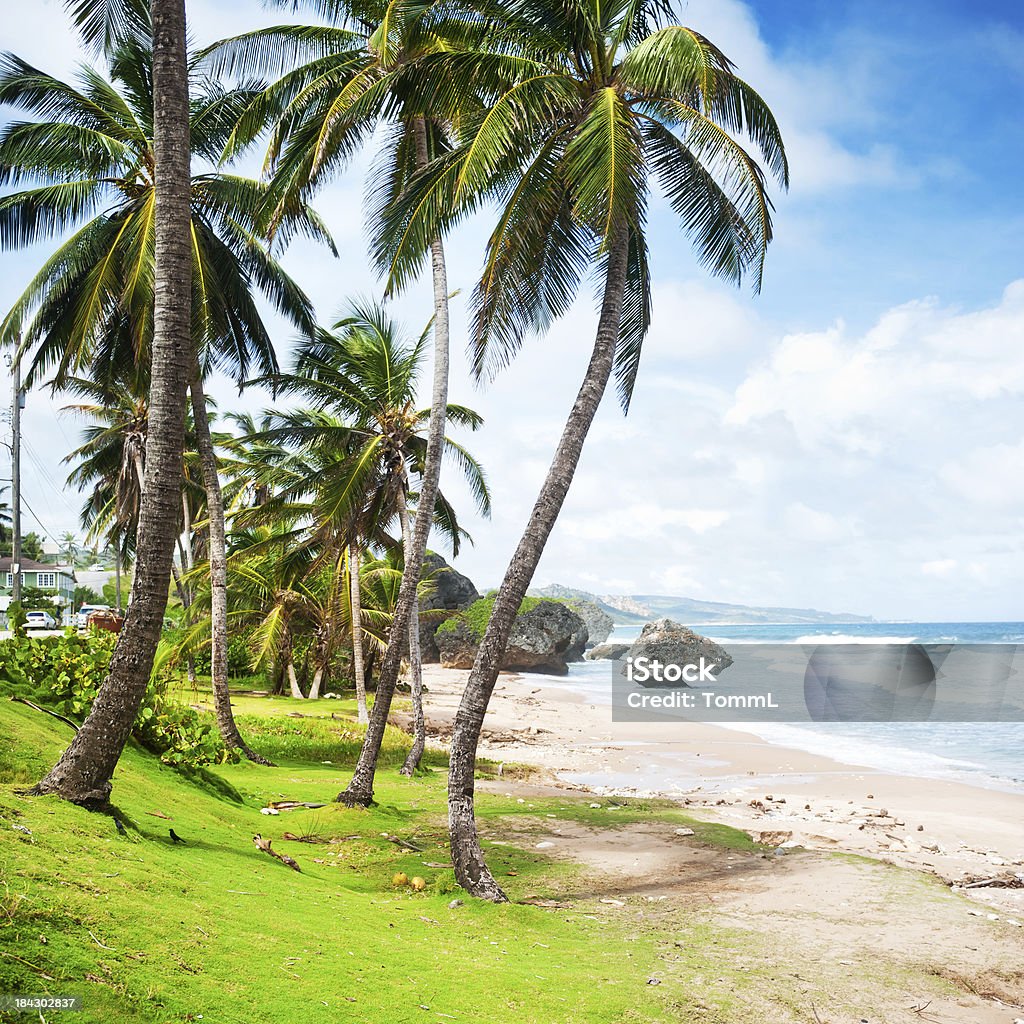 Bathsheba, Barbados - Foto de stock de Barbados libre de derechos