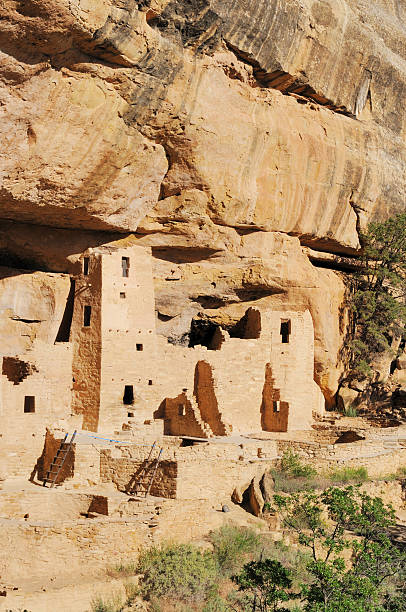 istock Cliff Palace Ancient Dwelling at Mesa Verde National Park Colorado 184302959