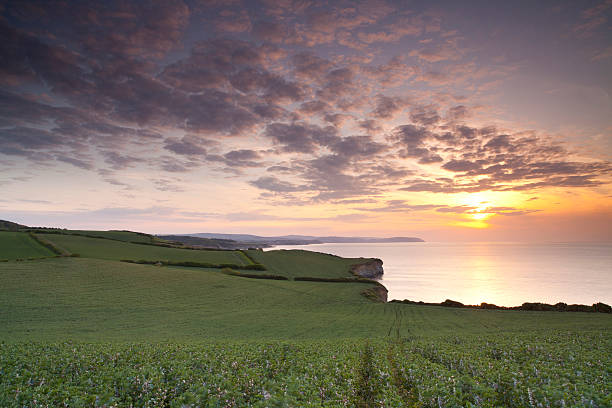 parque nacional de exmoor - exmoor national park fotografías e imágenes de stock