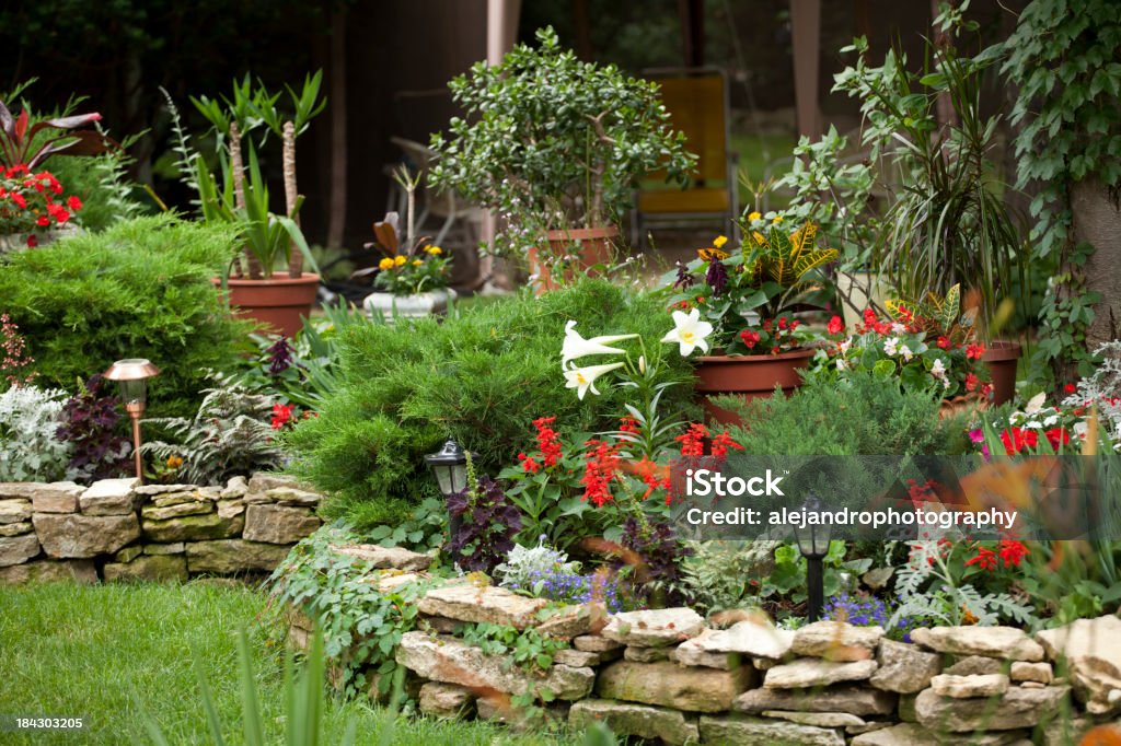 Le jardin fleuri - Photo de Beauté libre de droits