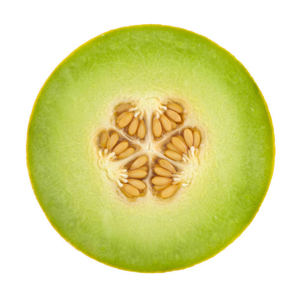 Honeydew Melon Cross Section On White Cross Section of a honeydew melon on white background. Clipping path included.Related pictures: honeydew melon stock pictures, royalty-free photos & images