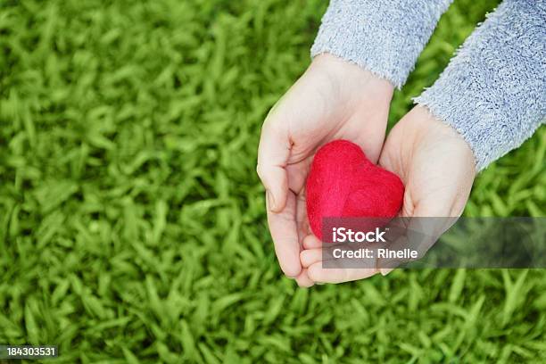 Hands Holding A Small Felt Heart Over Grass Stock Photo - Download Image Now - Felt - Textile, Heart Shape, Human Hand