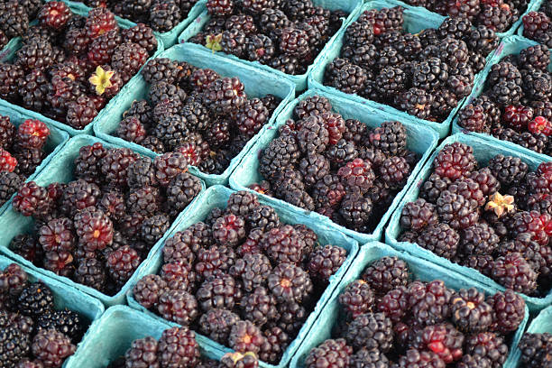 istock Marionberries at Farmers' Market 184303640