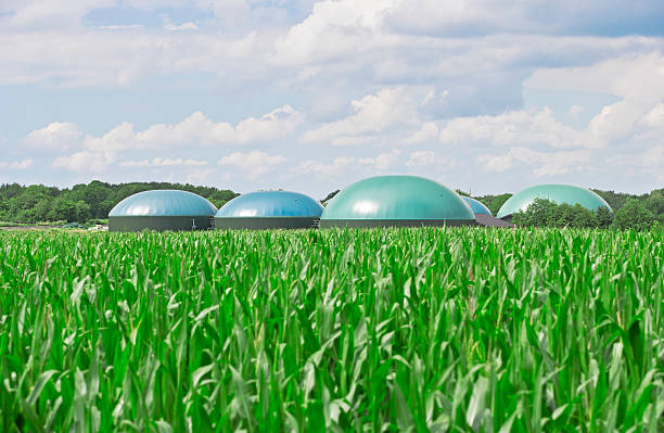 Biogas energy A modern biogas plant with lots of corn in front. Focus on biogas plant. biology class stock pictures, royalty-free photos & images