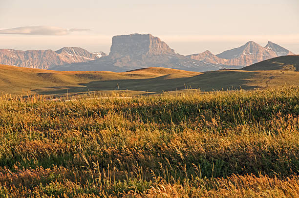 prairie grama e vistas para as montanhas - grass area field hill prairie - fotografias e filmes do acervo