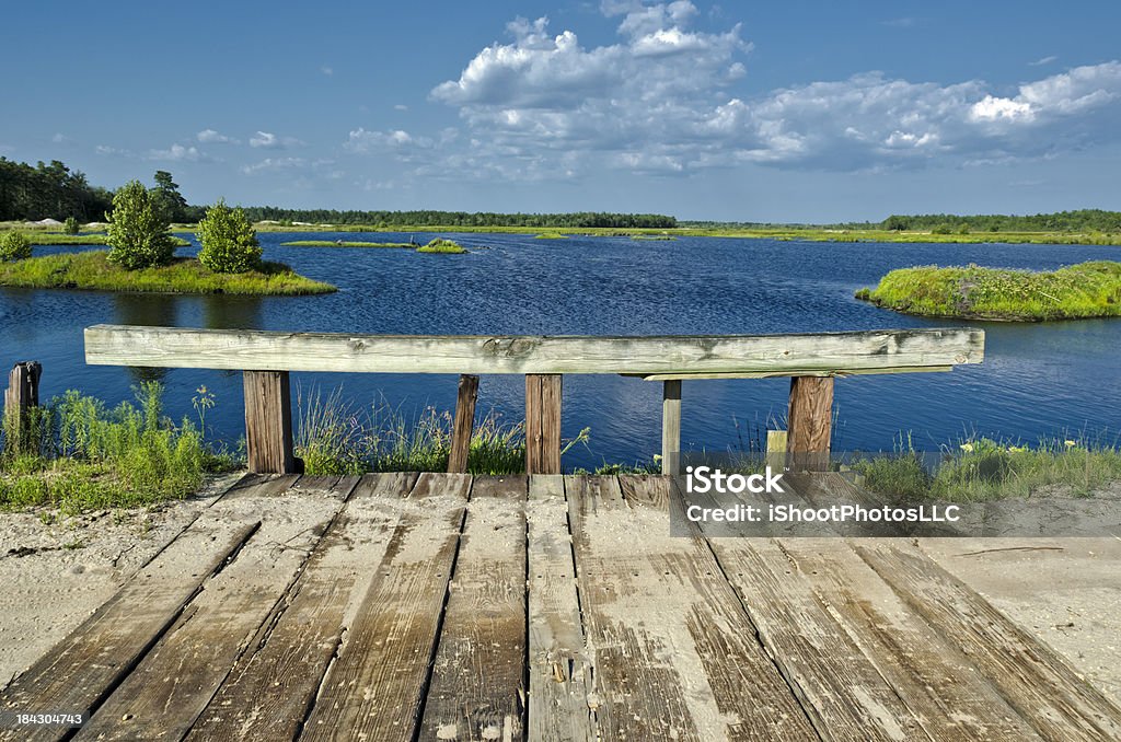 New Jersey Pine Barrens Landscape image of the New Jersey Pine Lands in Summer. New Jersey Stock Photo