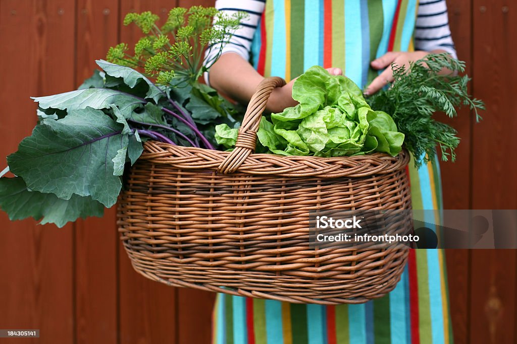 Giardiniere con un cesto pieno di verdure fresche scelte - Foto stock royalty-free di Agricoltura