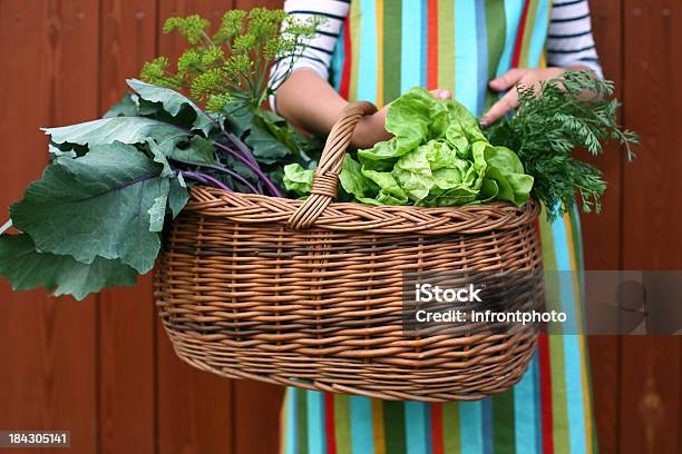 Giardiniere Con Un Cesto Pieno Di Verdure Fresche Scelte - Fotografie stock e altre immagini di Agricoltura