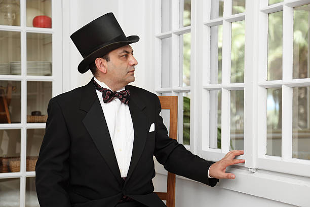 istock Baron near the window 184305300