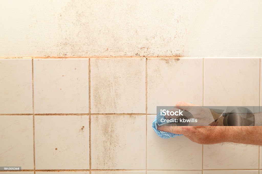 Nettoyage de Sale et une salle de bains avec une douche en forme - Photo de Moisissure libre de droits