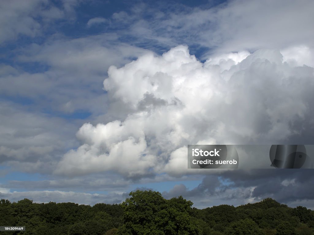 Cumulus Clouds Dramatic white and grey Cumulus clouds against blue sky Blue Stock Photo