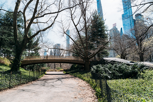 Bridge and path of Central Parkpath in Manhattan New York in sunny day