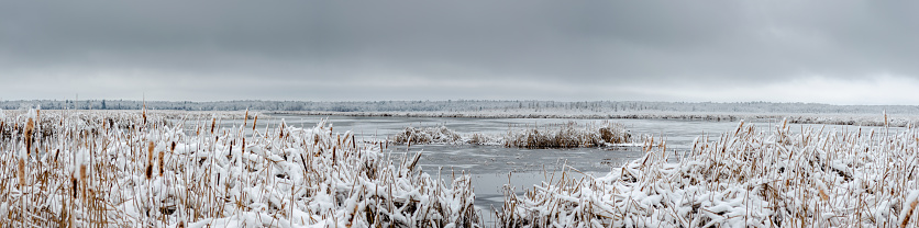 Panoramic of a frozen wetland under a gray sky in  December