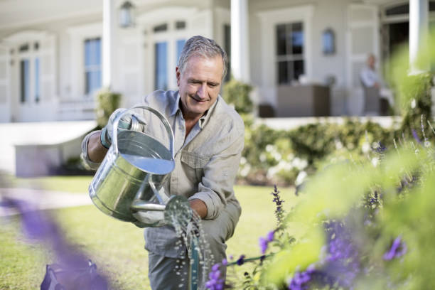 homem sênior dar plantas no jardim - planting clothing gray hair human age - fotografias e filmes do acervo