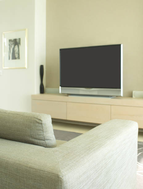 istock Sofa and television in modern living room 184313559
