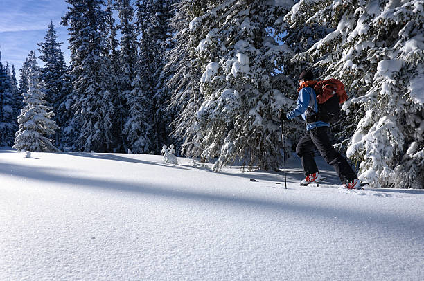 istock Skier Ski Touring in the Mountains with Fresh Snow 184313893