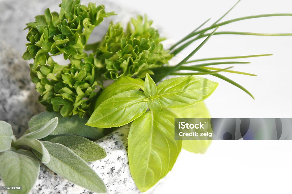 erbe aromatiche - Foto stock royalty-free di Basilico