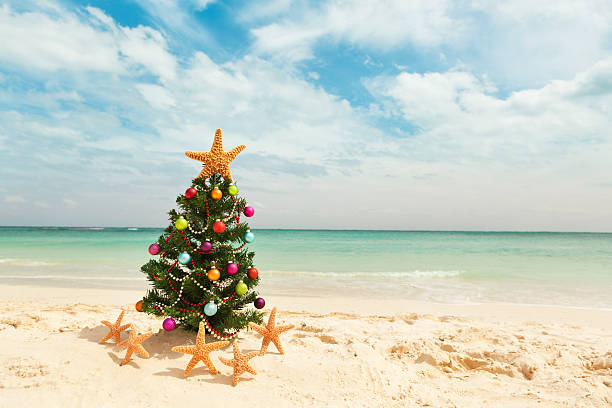 Christmas Tree in Tropical Caribbean Beach in Winter Holiday Vacation Subject: A decorated Christmas tree surrounded by dancing starfish on a tropical beach. cancun photos stock pictures, royalty-free photos & images