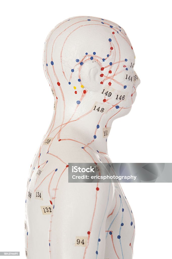Modelo de acupuntura - Foto de stock de Acupuntura royalty-free