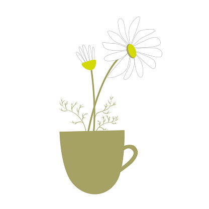 Chamomile flowers in a mug, herbal tea, teacup of hot beverage. Vector illustration of medicinal herbs