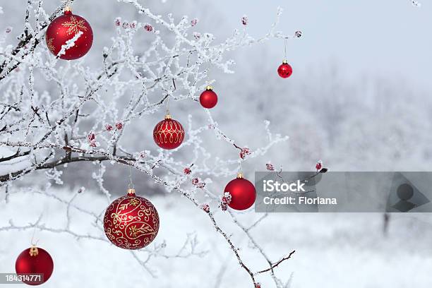 Foto de Natal De Rosa Mosqueta e mais fotos de stock de Exterior - Exterior, Árvore de Natal, Neve