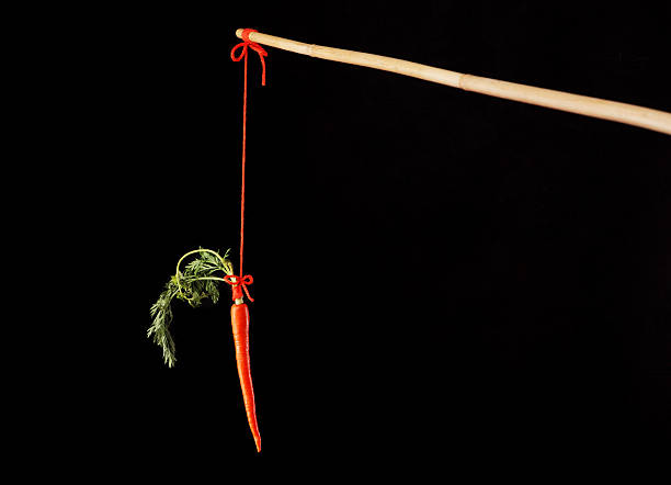 Carrot on a stick stock photo