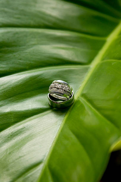 Hochzeit Ringe von Bali – Foto