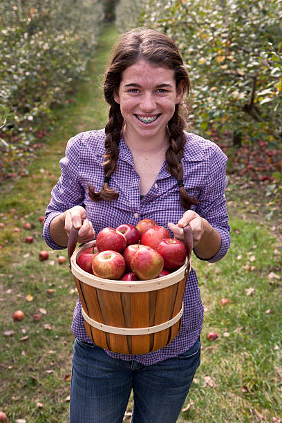 istock Girl with Basket Of Apples 184316340