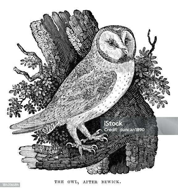 Owl Stock Illustration - Download Image Now - Engraved Image, Owl, 19th Century