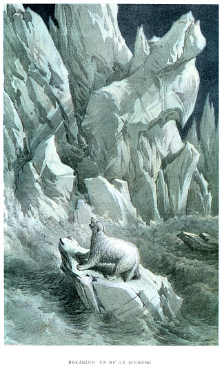Vintage Colour Lithograph from 1884 of a polar bear on an iceberg