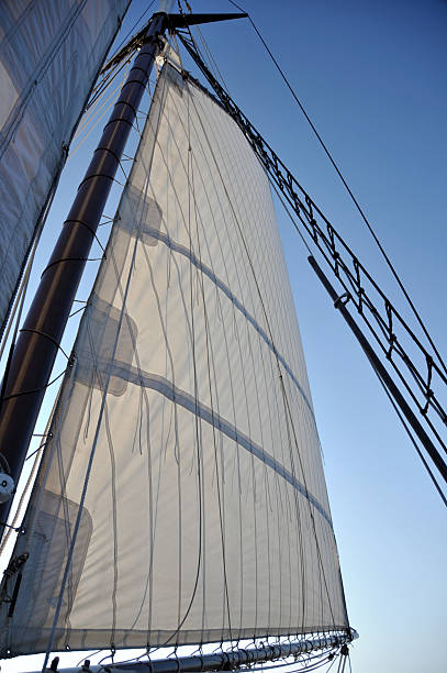 Backlit Sails "Sail of gaffed rig schooner ship, backlit by sun." gaff sails stock pictures, royalty-free photos & images