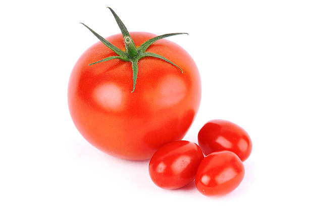 Tomatoes stock photo