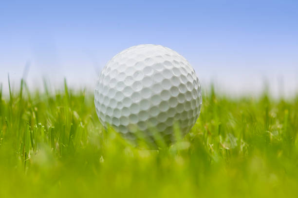 A golf ball near miss on the edge of going in the hole on the putting green.