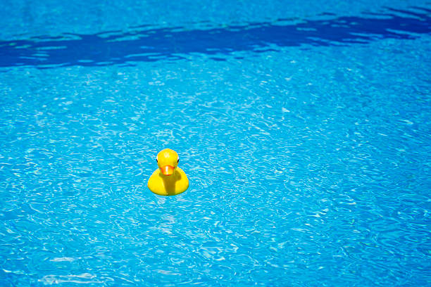 istock Yellow duck in swimming pool 184318158